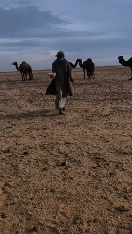 ᷂مآشــآء᷂آللهَ ᷂تبــآرڪ ᷂آللهَ. #ماهرالغضيان #النايفات #حلابت_الدر_وجيه_الشر #حلابت_الناقه_يدين_الشرارات 