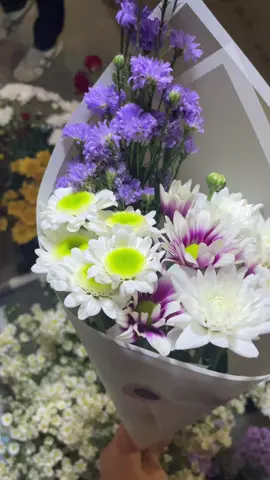 hanya 25ribu udah bisa dpt bunga secantik ini🥰💓✨ #freshflowers #freshflowerspalu #bungasegarpalu #bungapotongsegar #flowers #mybloomzpalu 