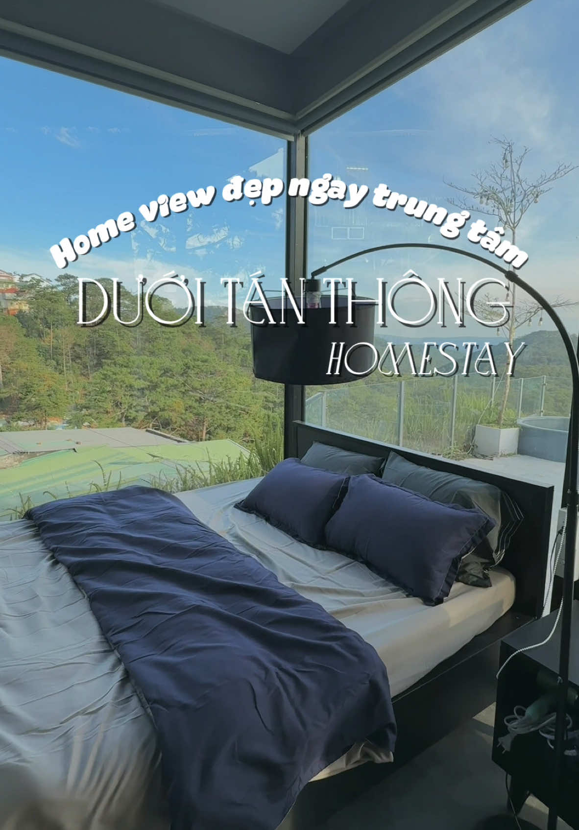 Homestay view rừng thông ngay trung tâm - DƯỚI TÁN THÔNG homestay.