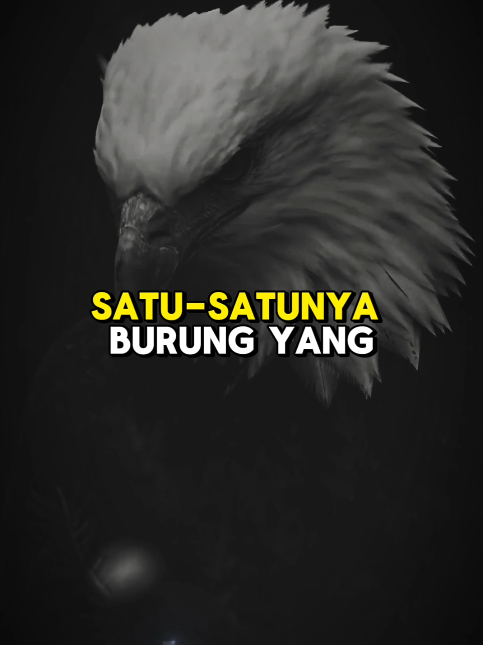 Jadilah seperti elang. Jangan terjebak dalam pertarungan yang sia-sia. Teruslah terbang lebih tinggi #JadilahElang #MotivasiHidup #FokusPadaTujuan #MindsetPemenang #Inspiration #FYP 