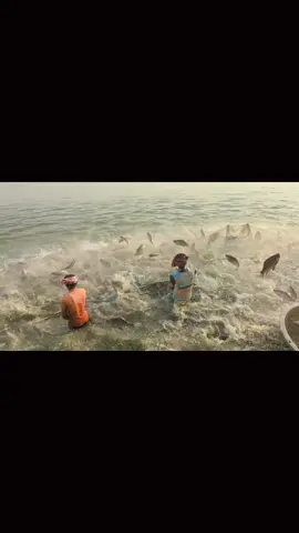 গ্রামের পুকুরে মাছ ধরার সময়❤️❤️