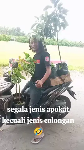 kecuali apokat colongan redy bolo#petanimuda #blitar24jam #pobb #rijantobeky #msct 