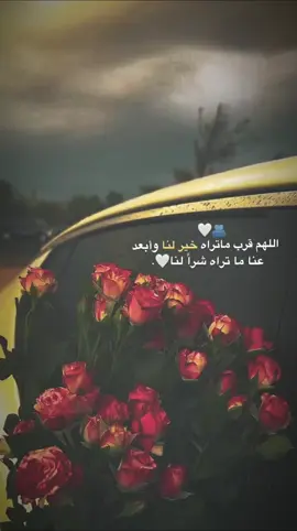 #اللهم_قرب_ماتراه_خيراً_لناا❤  #وابعد_عنا_كُل_مايؤذينا_ياالله  #اللهم_صلي_على_نبينا_محمد  #اللهم_ارح_قلوبآ_لا_يعلم_بحالها_انت  #يارب_فوضت_امري_اليك  #حالات_واتس_دينية  #حالات_واتس_دينيه 