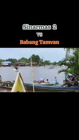 [Lomba Jukung B6 Simpang Warga, Aluh-Aluh]  (Pol B) Sinarmas 2 vs Babang Tamvan 📍Ds. Simpang Warga, Kec. Aluh-Aluh, Kab. Banjar, Kalimantan Selatan. Minggu, 2 Februari 2025. #lombajukungb6 #jukungb6 #jukungb6bakayuh #jukungb6bakayuhtradisional #lombajukungb6tradisional #lombajukungtradisional #jukungb6kalsel #galeryjukungb6kalsel #storyjukungb6 #kayuhbaimbai #salamsatudayung #fyp #fypシ #fypシ゚viral #fyppppppppppppppppppppppp #lewatberanda #lewatberandafyp #lewatberandafypシ #masukberandafyp #xybca #xyzabc #xyzbcafypシ 