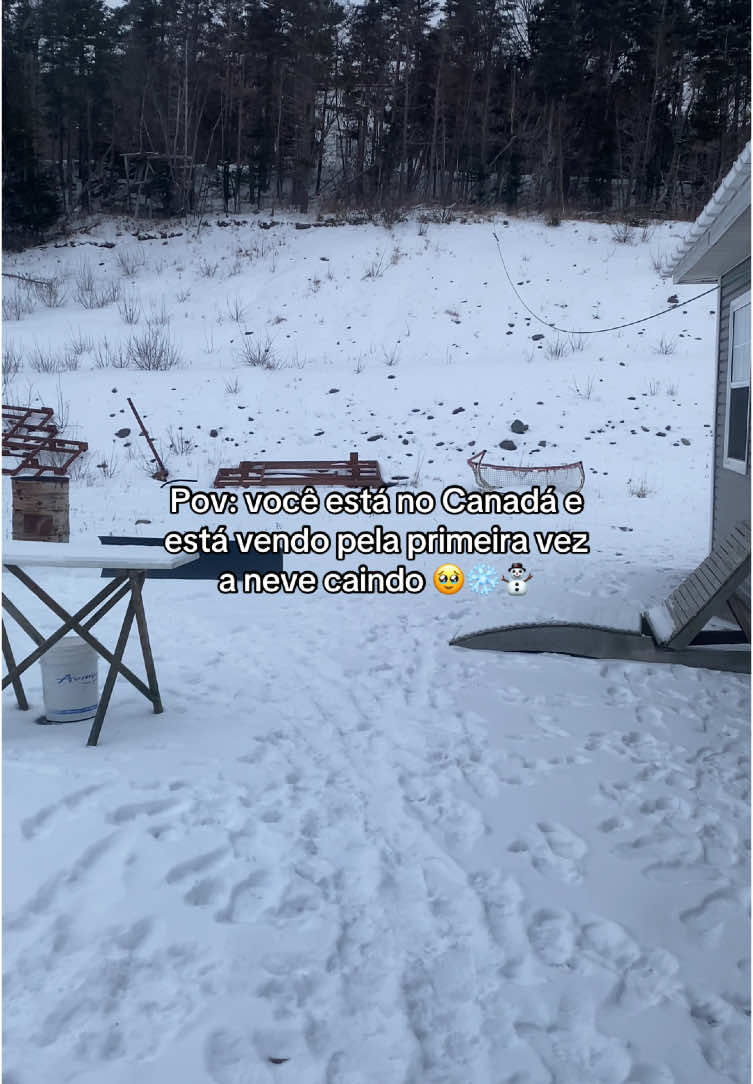 isso é muito mágico 😭✨❄️🤏🏻 • • • • #canada🇨🇦 #neve #nevasca #vidanocanada #exchangestudent #fyp #foryoupagе #programaganhandoomundo #intercambiocanada #newfoundland #vibes 
