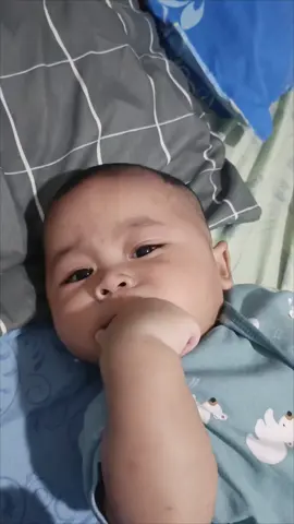 Kendut lagi demen ngoceh 😃 #fypシ #bayigemes #fypdongggggggg #bayilucu #fyppppppppppppppppppppppp #allahumabarik #masyaallahtabarakkallah #cutebaby 