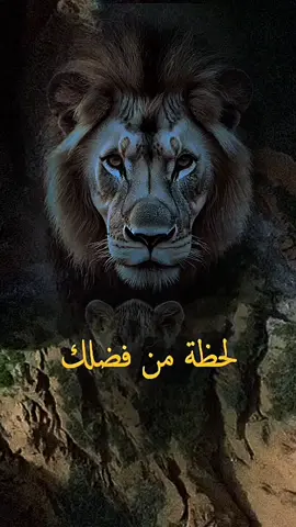 هل تعلم لماذا ابعد الله عنك الذين كنت تظن انهم اشخاص مهمون بالنسبة لك.. #اقتباسات #حكمة #خواطر #اكسبلور #نجاح  #علم_النفس #تطوير_الذات #كلام_من_ذهب #اطمئن  #اقتباسات_عبارات_خواطر #تحفيزات_إيجابية  #اللهم_صلي_على_نبينا_محمد #fyp #explore  #شورت #شورتس  #viral_video #psychology #motivation 