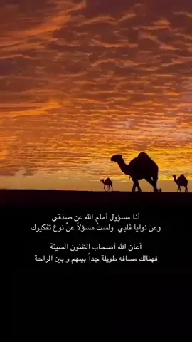 #مساء_الخير🌹 #مساءكم_سعادة_لاتنتهي🕊💙💙 