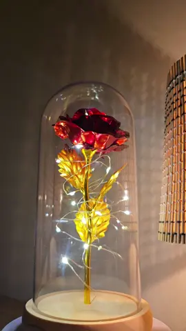 Gift idea #giftideas #valentinesgift #giftforher #giftidea #ledlightroseinglassdome 