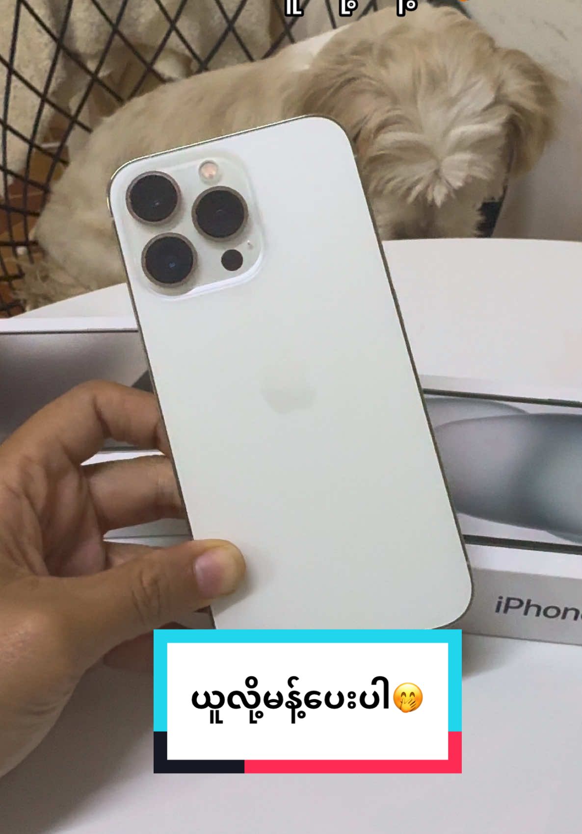 #justforfun #dog #pet #funny #funnyvideos 😘😘 #စတာပါဗျာ🤭🖤 #tiktok #viraltiktok #foryou #foryoupage #fypage #fypシ゚ 