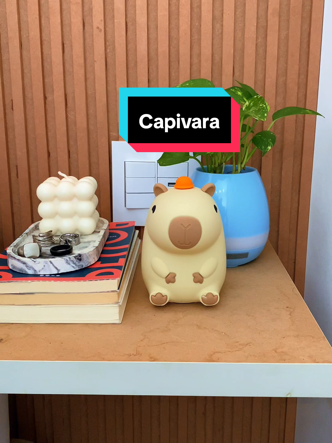 💡 Quer deixar seu cantinho mais fofo e aconchegante? Olha só essa a Luminária de capivara: ela brilha, é macia e ainda aceita carinho! 😍✨ Sem contar que é algo super brasileiro, né? Gostou? #TemNoMagalu  #luminaria #capivara #iluminação #decoração #abajur #LuDoMagalu #MagazineLuiza  Código do produto: gh2kbf11ej