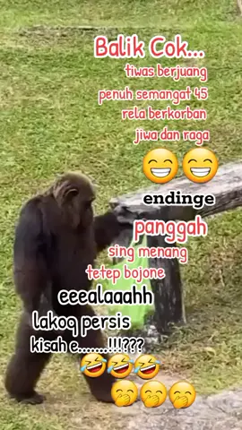 #🤣🤣🤣🤣🤣🤣🤣🤣🤣🤣🤣🤣🤣🤣🤣🤣 #fyp #❤️ #🤭 #😝 #trendingtiktok #trendingvideo #g #☕️ #💚💚💚 #wkwkwk #🤣 #fyp #sayangkamu #majumantilla #JelajahJakarta #setia #ilove 