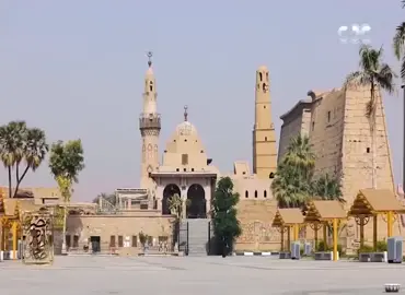 سيدي أبو الحجاج يا حلو السميه كفى شرف جدكم النبي. #ريحانة_المداحين_الشيخ_آمين_الدشناوى💚🌿 