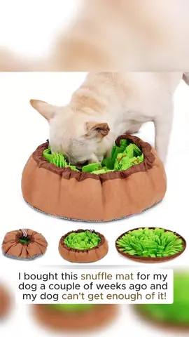 Slow Down Mealtime: Discover the Dog Trainer-Approved Snuffle Mat for Stress Relief and Fun!
