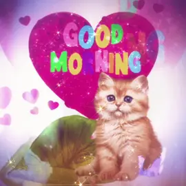 Good morning vro #cat #catsoftiktok #sillycat #vro #trending #papyrusarea19 #riodejaneiro #fyp #foryoupage #fyppppppppppppppppppppppp 