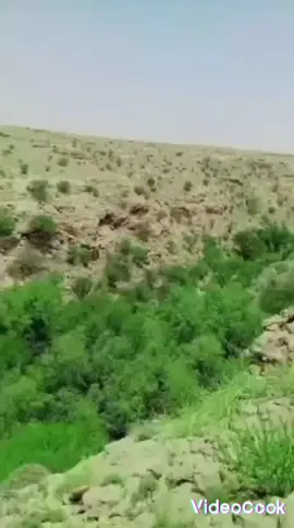 #الديره #الوادي #حضرموت_وادي_عمد_الهجرين_وادي_العين 