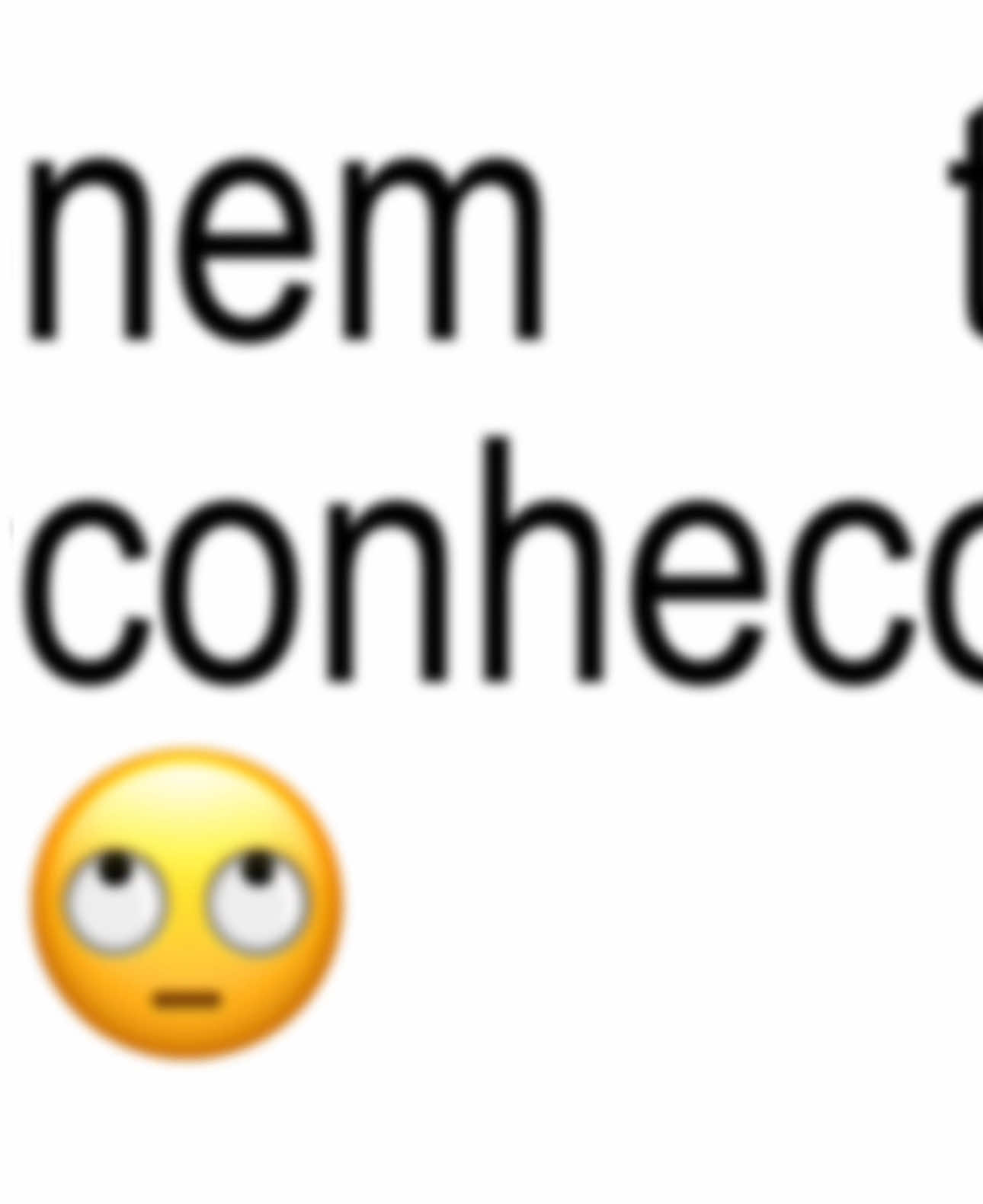 quem er voce? 🤨 #ygona #brat #meme #audio 