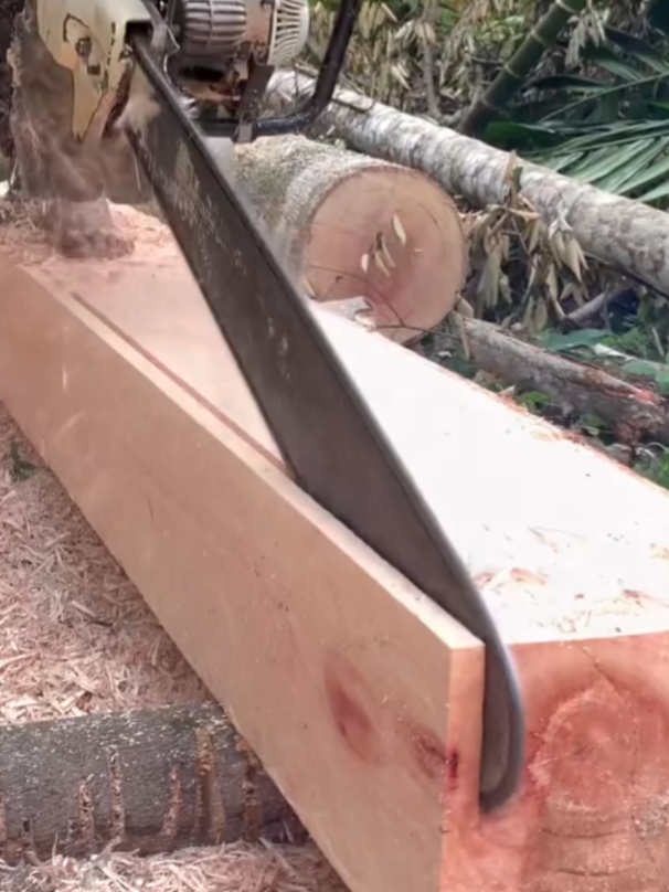 #chainsawmill #woodenboard #chainsawskills #sawingwood #stihlms070 #treecut @STIHL Brasil @STIHL USA 