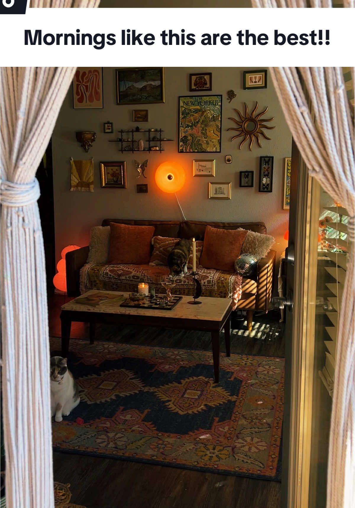 I’ve been craving a sunny morning like this! 🌞💫✨ #homedecor #maximalist #colorfulhome #interiordesign #eclecticdecor 