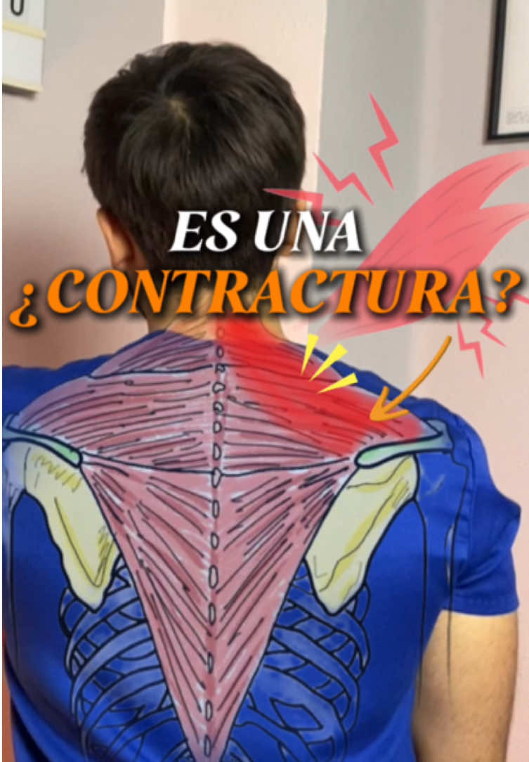 🤔¿Realmente tienes una contractura muscular? 😅Muchas veces, el verdadero problema detrás del dolor muscular no es una contractura como tal, sino hábitos de vida poco saludables.  👉🏼Pasar muchas horas sentado, la falta de actividad física, el mal descanso y una alimentación deficiente pueden ser las verdaderas causas.  🙌🏼Mejorar tu estilo de vida es clave para reducir estos dolores.  ❕SÍGUEME PARA MÁS ❕  #Fisioterapia #DolorMuscular #Contractura #SaludMuscular 