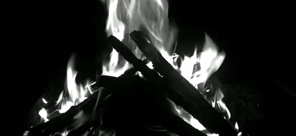 وَسكت وقلبي شهيد.                              #اقتباسات #اقتباس #edit #explore #viral #foryou #tik #pov #اغاني_بدون_موسيقى #اكسبلورexplore #تيك_توك #jungkook #viralvideo #foryoupage #dancewithpubgm 