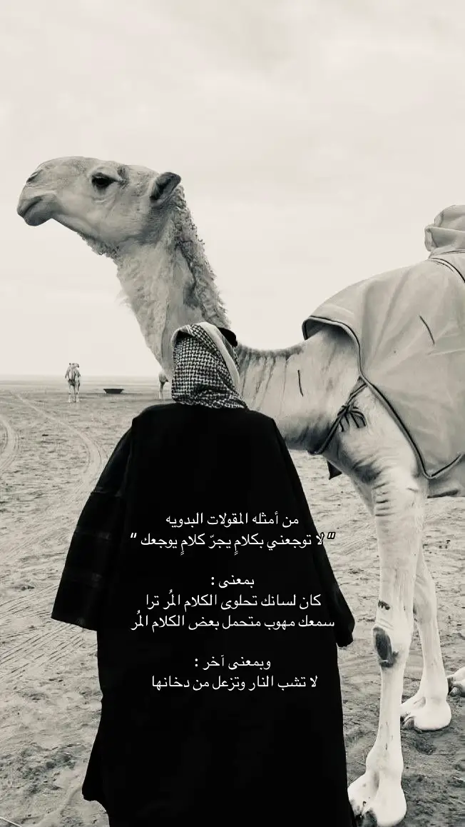 لا توجعني بكلامٍ يجرّ كلامٍ يوجعك .#fyp #هوبال #u4 #viral #foryou #fyyyyyyyyyyyyyyyy #capcut #explor #edit #ex #e #بندر_بن_عوير🎤 #بدون_هشتاق #بدو #foryoupage #fy #شيلات #حب 