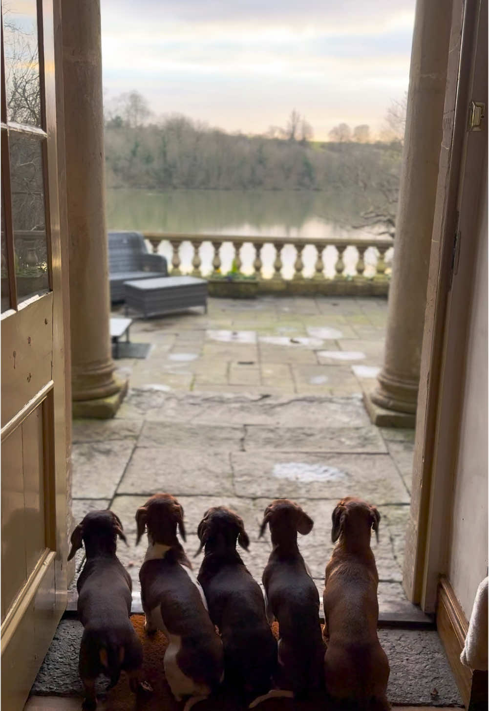 Have we just arrived most possibly at Englands best view? 😍 A few days in Somerset to rest, recharge & reset in the peace and stillness of nature 🌲 Thankyou for having us @Orchardleigh estate golfcourse we can’t wait to explore the estate and surroundings ♥️