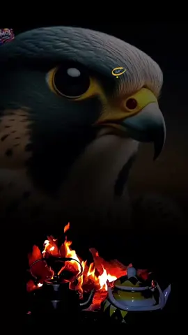 #بندرالمطيري #CapCut  