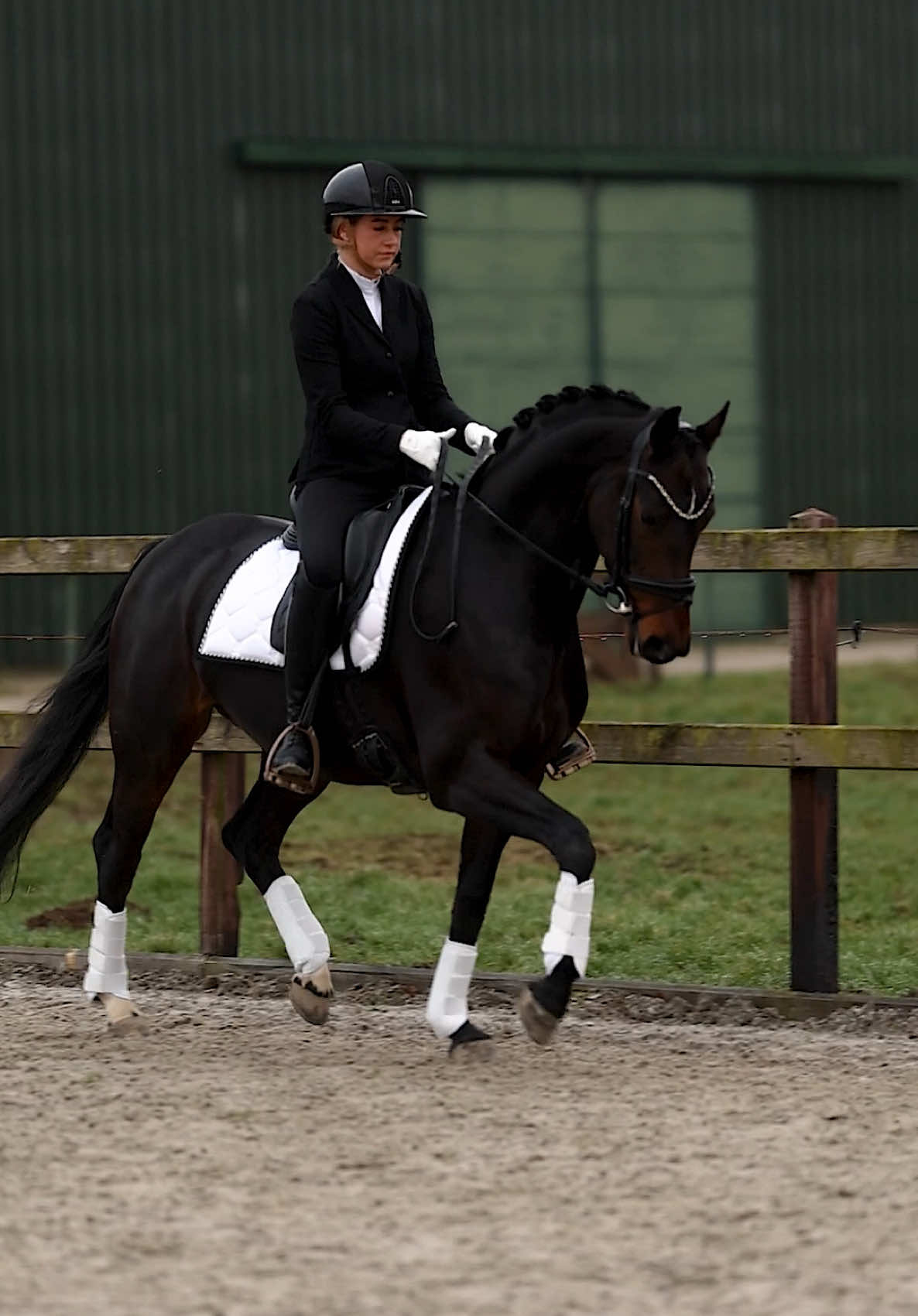 Pretty Nadesh in @PSofSweden ✨🤍 @Diansmitsfotografie 🎥 #equestrian #abcxyz #horseriding #psofsweden #collection #equestrianlife #horsegirl #viral 