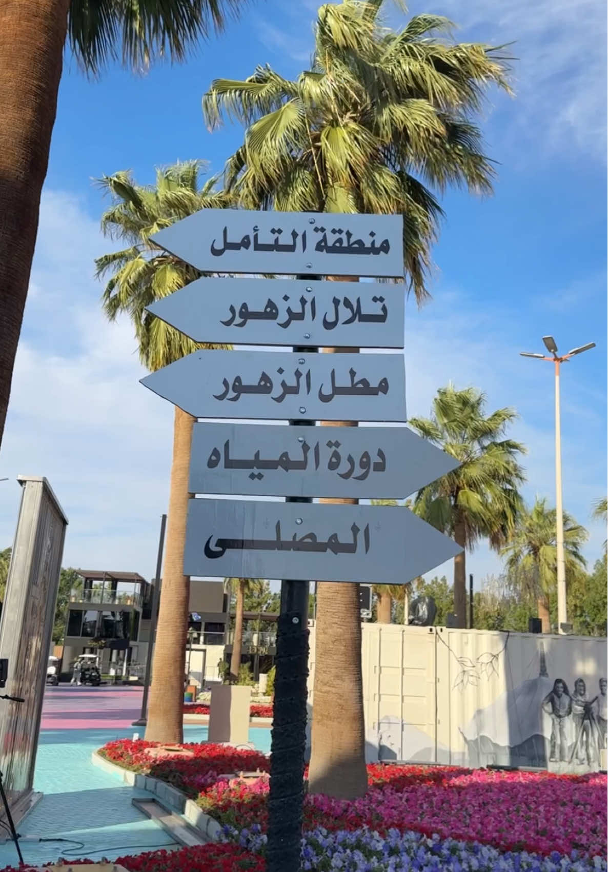 مهرجان الزهور💐#ينبع_المزه #ينبع #مهرجان_الزهور #أكسبلور 