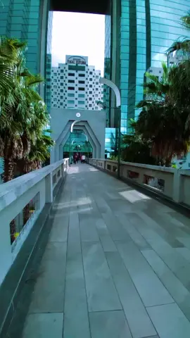 #tikalfutura #cuidaddeguatemala🇬🇹 