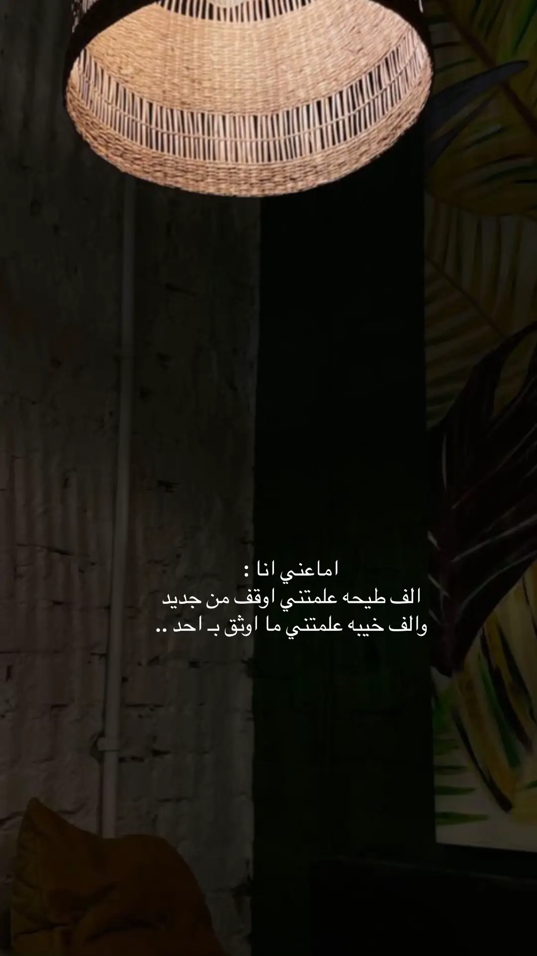 #اكسبلورexplore 