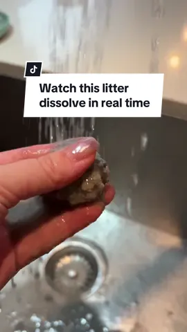 Replying to @Nickie Cloud it’s actually crazy how this litter works. If you are not familiar with this tofu cat litter, basically it perfectly clumps when your cat pees but in the toilet bowl it completely breaks down so you can actually flush it. ##bestcatlitter##catlitter##tuftandpaw##bestcatproducts##bestlitterbox##tofucatlitter##flushablecatlitter##litter