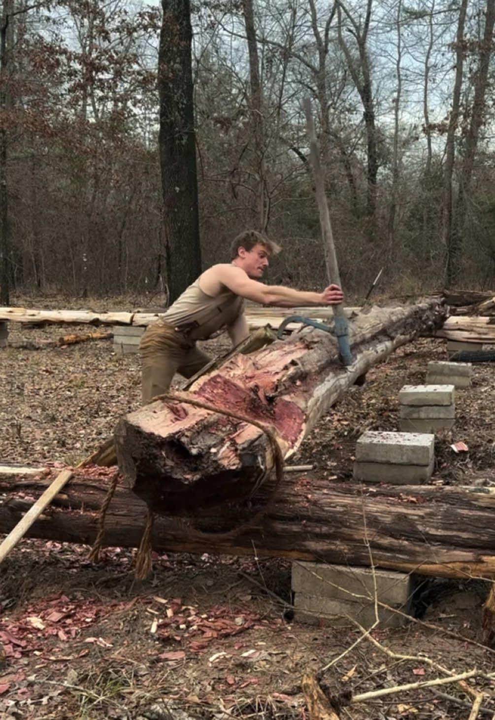 Building a MASSIVE log Cabin by Hand Part 6.5. Today we are having a go at my first time notching a log. We are using the saddle notch. Overall I think it went well! Follow for more! #logcabin #cabin #bushcraft #Outdoors #rdr2 #handtools #cabinlife #lumberjacks #chainhoist #countrytactical #camping 