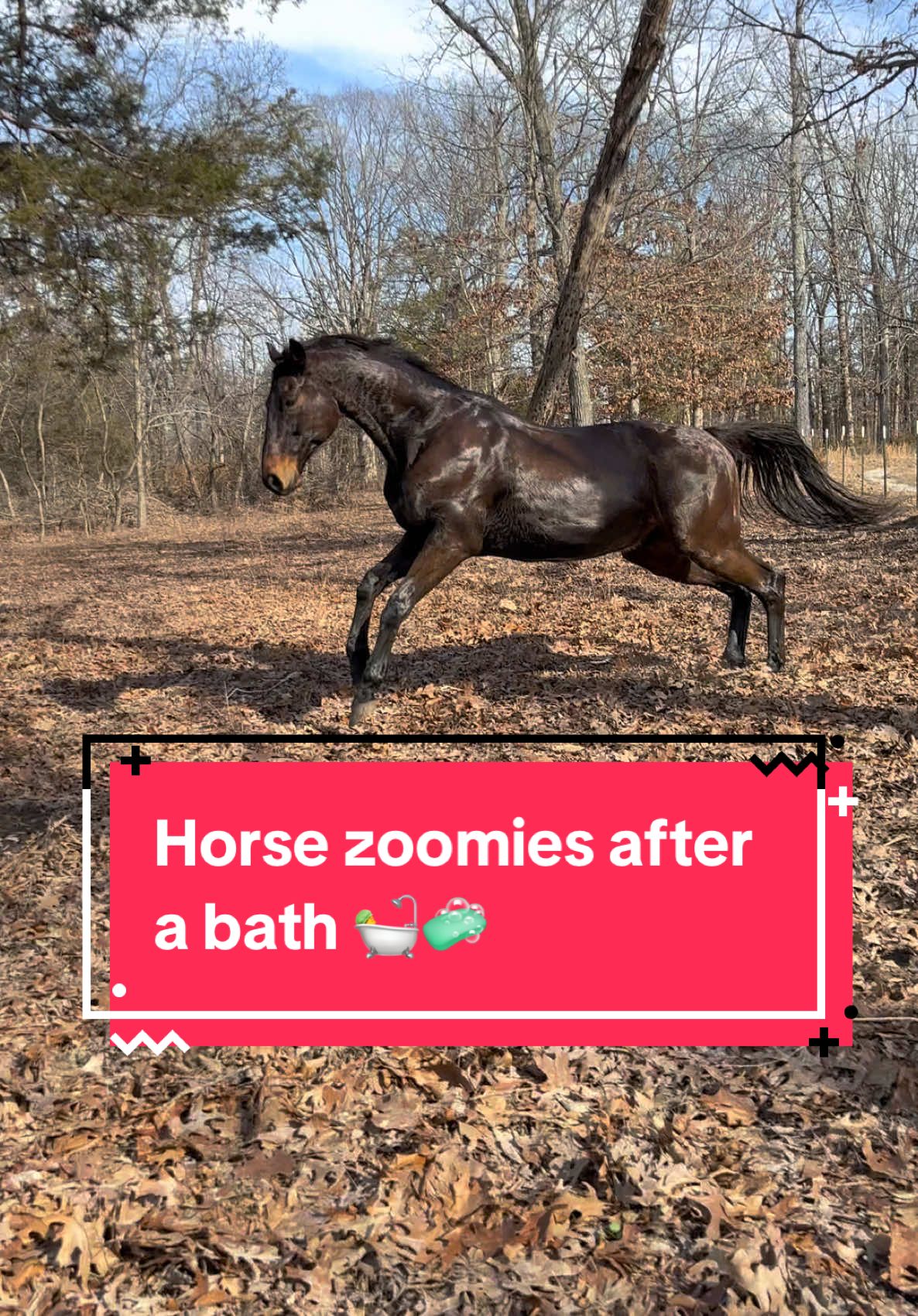 If I tell myself I burned calories through the baths it stings a little less. 😩