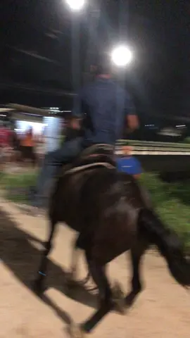 Quente não, FERVENDOOO🔥 . . . . #cavalo #cavalos #cavalos🐴 #cavalosminhapaixao #mangalargamarchador #mangalarga #video #viral_video #viralvideos #funny 