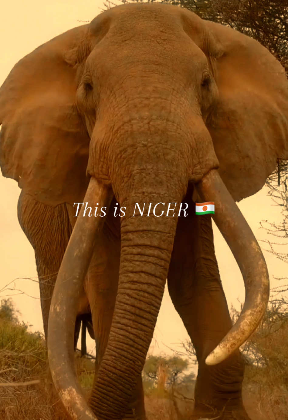 Là où le fleuve danse avec la terre, 🇳🇪au cœur du Sahel. 🌍 #Niger #Niamey #foryou #النيجر @🖤 Hassan Et Hinda 🖤💫 @xfex @@Aisha_kudra @@ assetou 🇧🇫 @Lamine @@anitamp @@Sandrine la chouchouter @🇳🇪abdoulaziz227🇵🇸 @Abby @My girlfriend 🥰😍 @E.Bella bello228🇹🇬🇬🇦 @Edner 