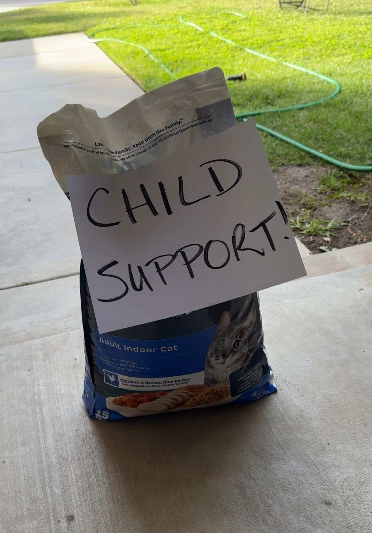 We are family 🫠 #funny #funnyvideo #couple #couplecomedy #catsoftiktok #cat 