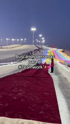 Lo hacemos realidad?  #Teamwork #teamworkmakesthedreamwork ##teamworktrend #fyp #viral #parati