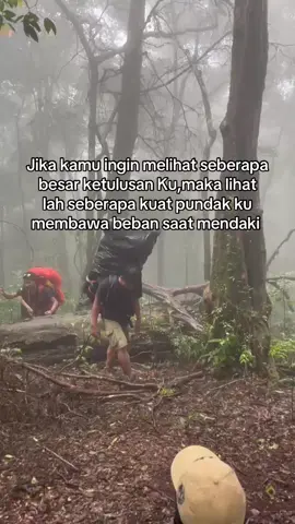 Kawan spek porter adalah aset yg sangat berhaga 😅#pendakigunung #gunungindonesia #Hiking #fyppp 