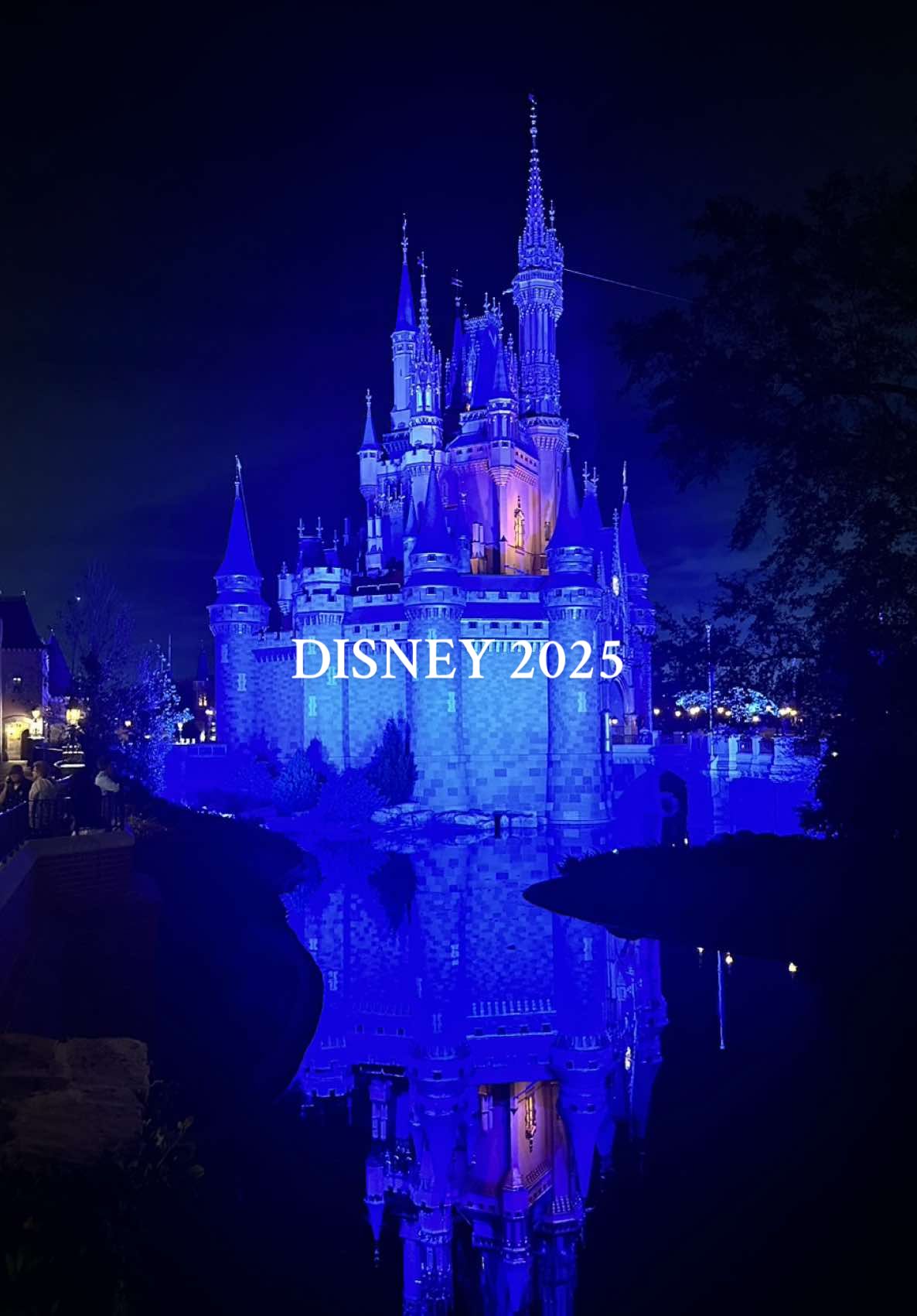 One trip, a lifetime of memories🐭❤️🎢🫧🍭🎟️🎠🎡 #MomsofTikTok #disneyworld #magickingdom 