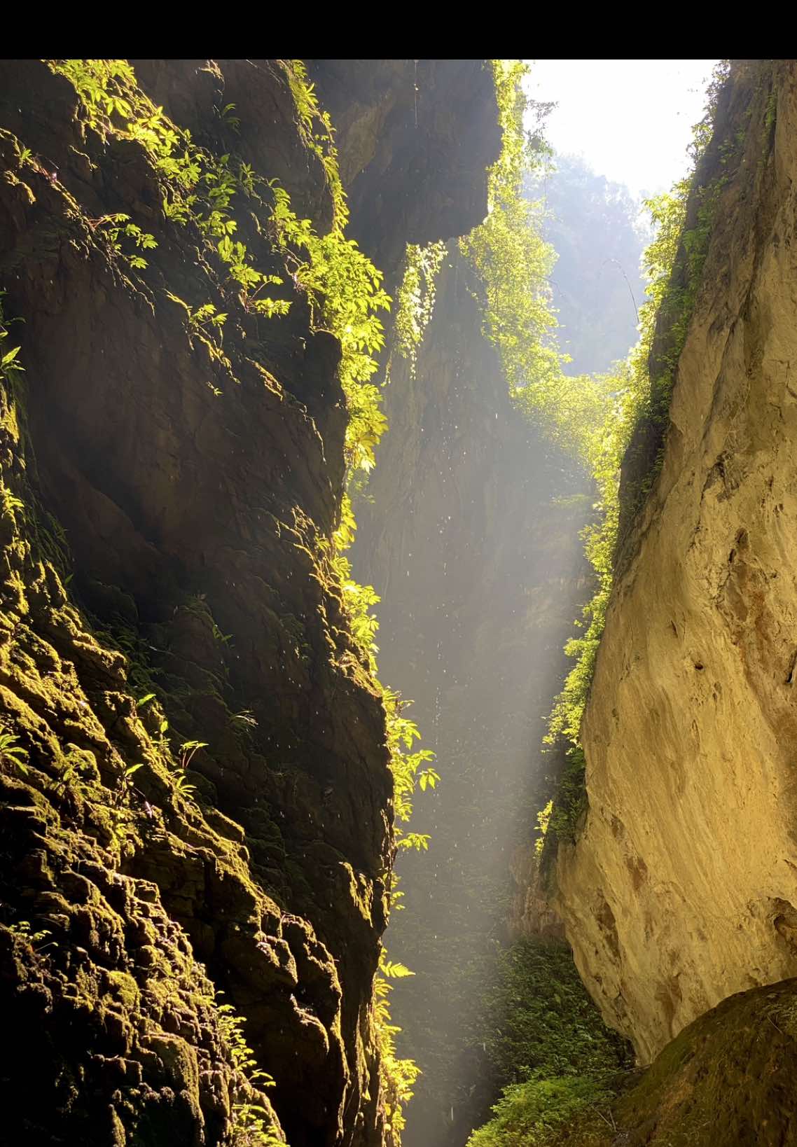 Exploring the breathtaking Longshuixia Fissure Gorge in Chongqing! Towering cliffs, lush greenery, and a hidden world of natural beauty. A must-visit for nature lovers! #LongshuixiaFissureGorge #ChongqingAdventures #NatureEscape #HiddenGem #ExploreChina