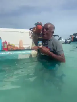 Lo volvió hacer 