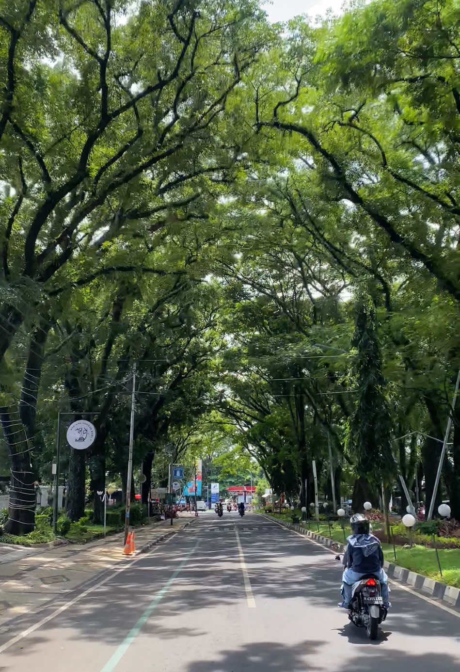 Punya cerita apa kalau lewat jalan ini? 🕊️✨#malang #aestheticvideos #malangaesthetic #malangvibes #jalanbandungmalang #fyp #fyppppppppppppppppppppppp 