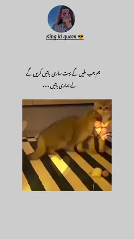 Hum JB mile gy bohat sari batien krien #😜🙈😉🤩🤣@Missing Soldier @ansa bloch 😘 @🦋Sweetie 🫶🫀🦋 @ᴍ᭄ꦿiss🥀Sᴀʙᴀ࿐ @jannat salaar🦋🦋 @SWEET PATHANI ..🤵. KI JAAN😍 @Àrmy Boy 🇵🇰⚔️ @bint-e-qasim💞 @Dua bus mari ha 💋💋 @Queen 👑 @Sameer 123 @Soldier,m,Hassan 