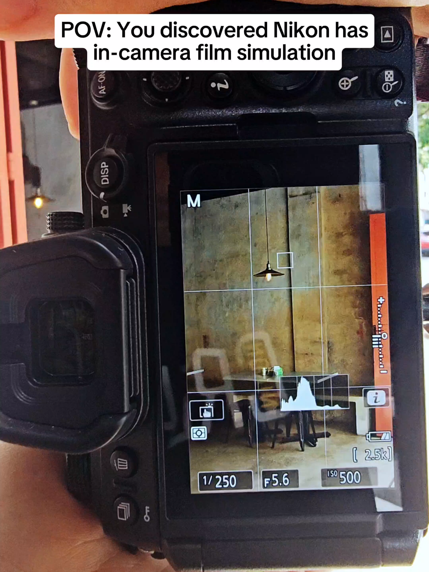 Check out how #NikonCreator Ying Sin make use of the Z6III's Flexible Color Picture Control to craft stunning film-inspired looks 📸✨! #NikonSG #NikonZ6III #ImageRecipe #FYP #foryoupage