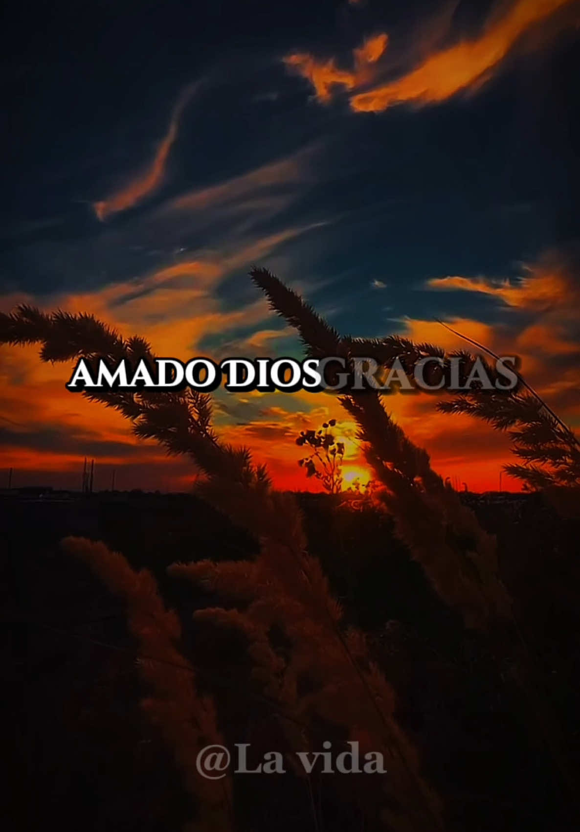 tesus toiostoldeon #oracionespoderosas #buenosdias #oraciondelamañana #miercoles #2025 #bendiciones #cristianos. 