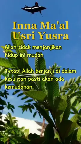 #bismilah #doa #bersyukur #semuaorang #jangkauanluas #semangat 