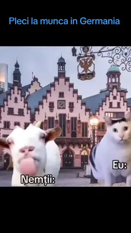 #viralll #videoviral #glumeamuzante #😂😂😂😂😂😂😂😂😂😂😂😂😂😂😂 #glumefunny😂 #pentrutine #morideras #hazdenecaz #romania #5pasidebine #haha #funnymoments #munca #germania #foruyou #videoviral #tiktokcomedy 