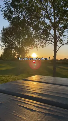 #fypシ #contenido #paratii #fariddieck #viraltiktok #fypシ゚viral 